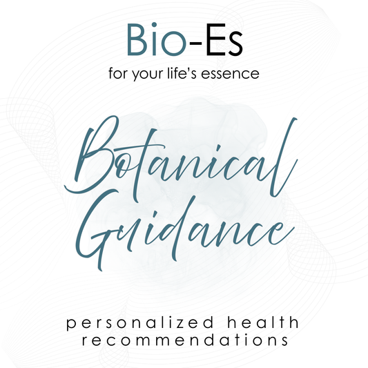 Personalized botanical guidance with herbal recommendations and holistic wellness support.