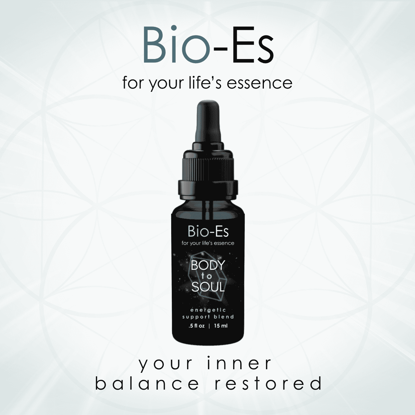 Body-to-Soul advanced flower essence blend providing comprehensive support for emotional well-being, resilience, and the interconnected relationship between physical, mental, and energetic health.