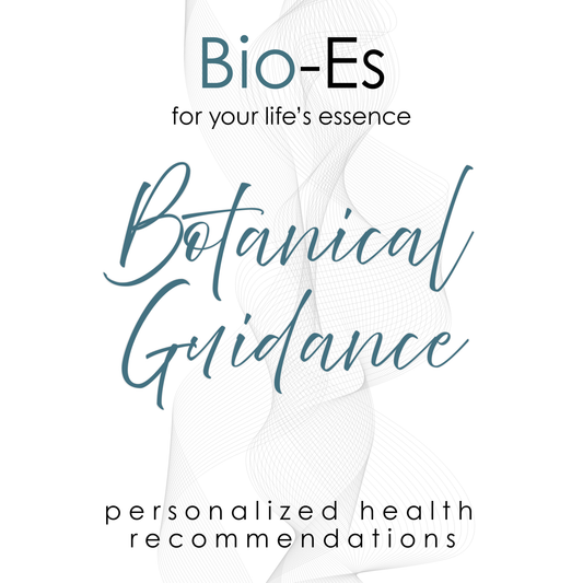 Personalized botanical guidance with herbal recommendations and holistic wellness support.