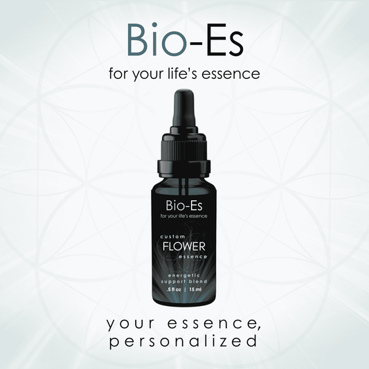 Personalized flower essence blend designed to support emotional balance, resilience, and day-to-day stress support for those new to flower essences.
