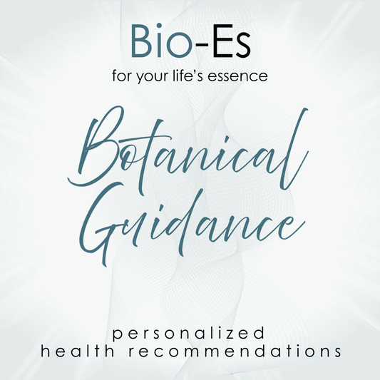 Personalized botanical guidance with herbal recommendations and holistic wellness support.
